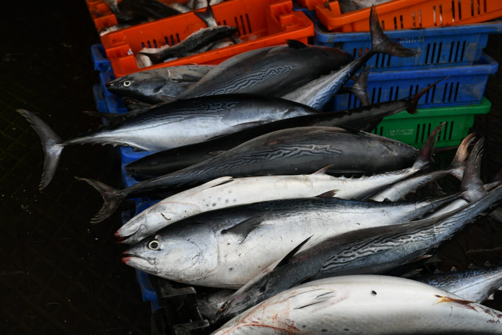 WhatsApp Image 2020-05-18 at 2.29.41 AM (1).jpeg.jpeg